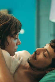 Behind the Palm Trees